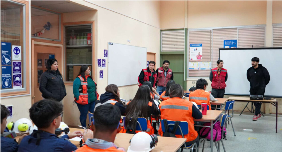 muestras geologicas bicentenario